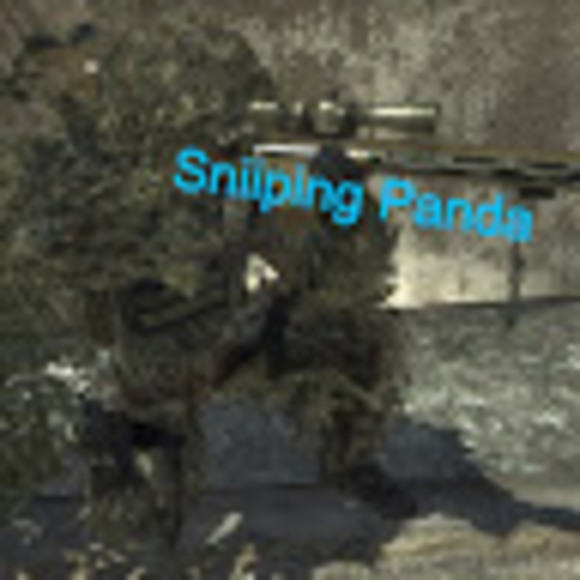 Meet your Posher, Sniipingpanda - Picture 1 of 1